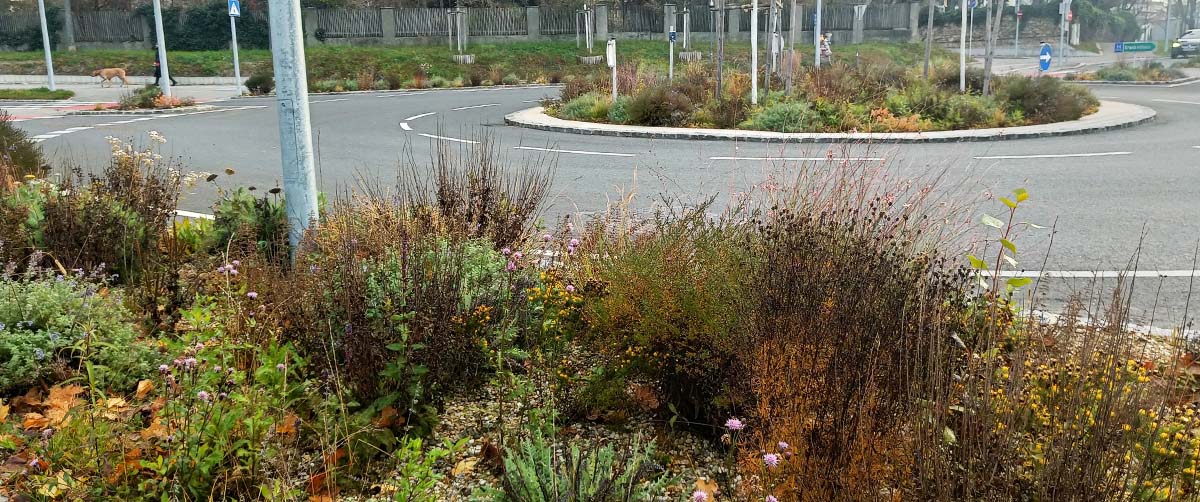 gruenplan-HP-Projekte-1korn10-04 gruenplan-HP-Projekte-1korn10-04