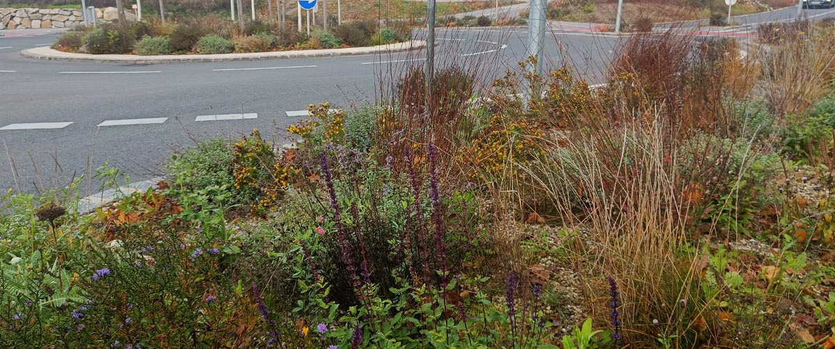 gruenplan-HP-Projekte-1korn10-07 gruenplan-HP-Projekte-1korn10-07