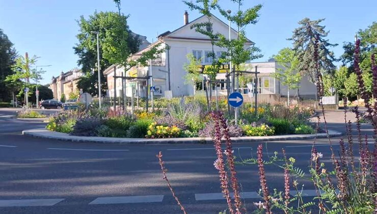 gruenplan-HP-Projekte-1korn10-10