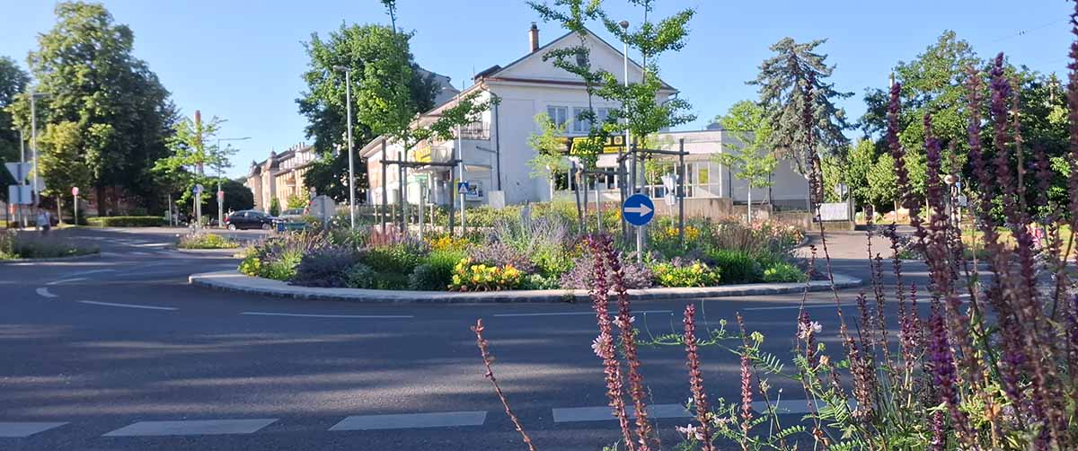 gruenplan-HP-Projekte-1korn10-10 gruenplan-HP-Projekte-1korn10-10