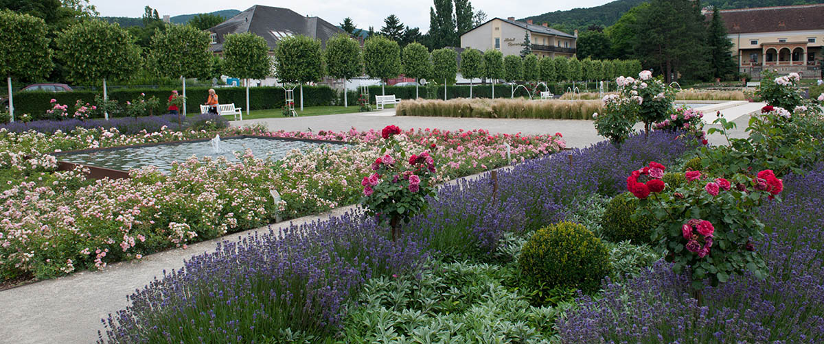 gruenplan-HP-Projekte-RosariumBaden11