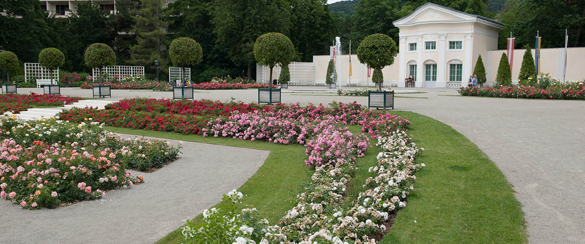 gruenplan-HP-Projekte-RosariumBaden13