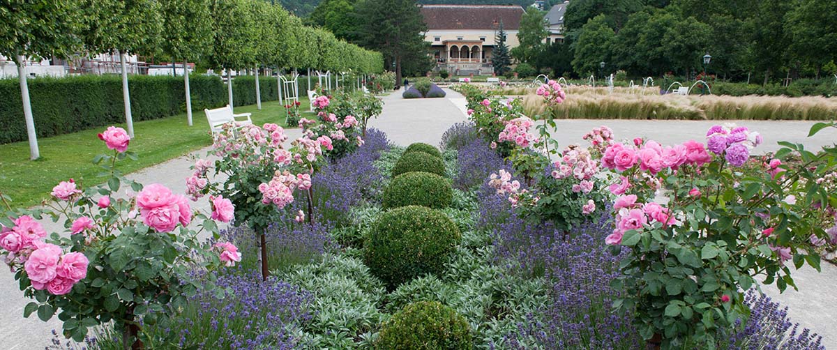 gruenplan-HP-Projekte-RosariumBaden3