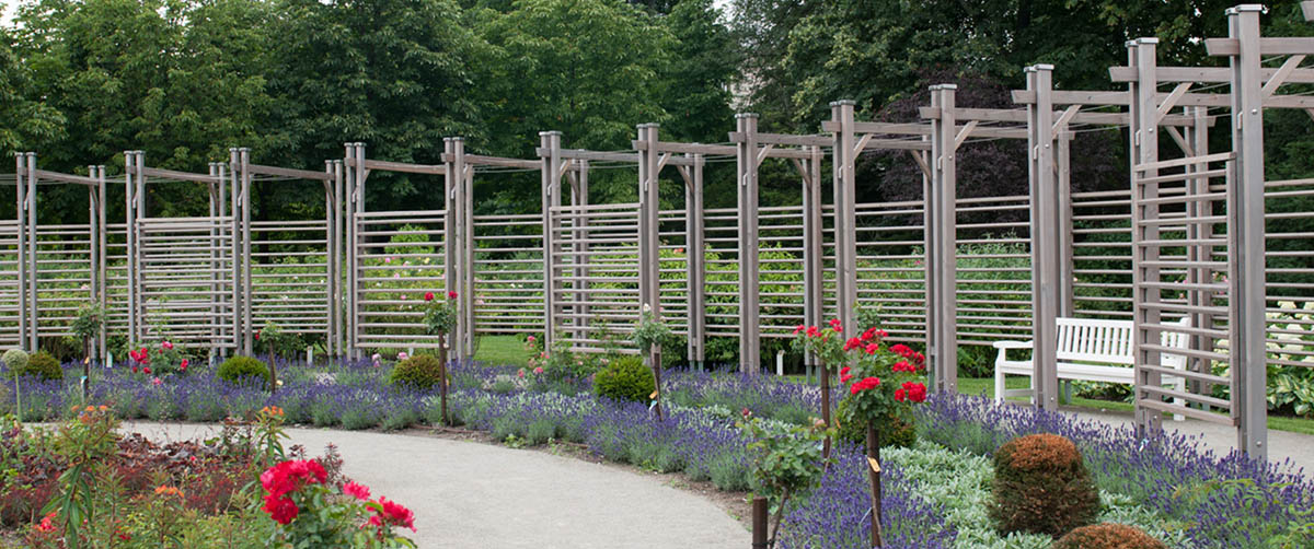 gruenplan-HP-Projekte-RosariumBaden5