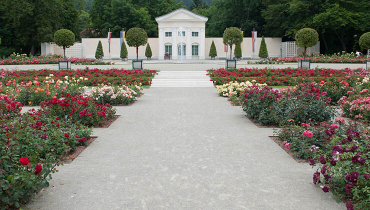 gruenplan-HP-Projekte-RosariumBaden6