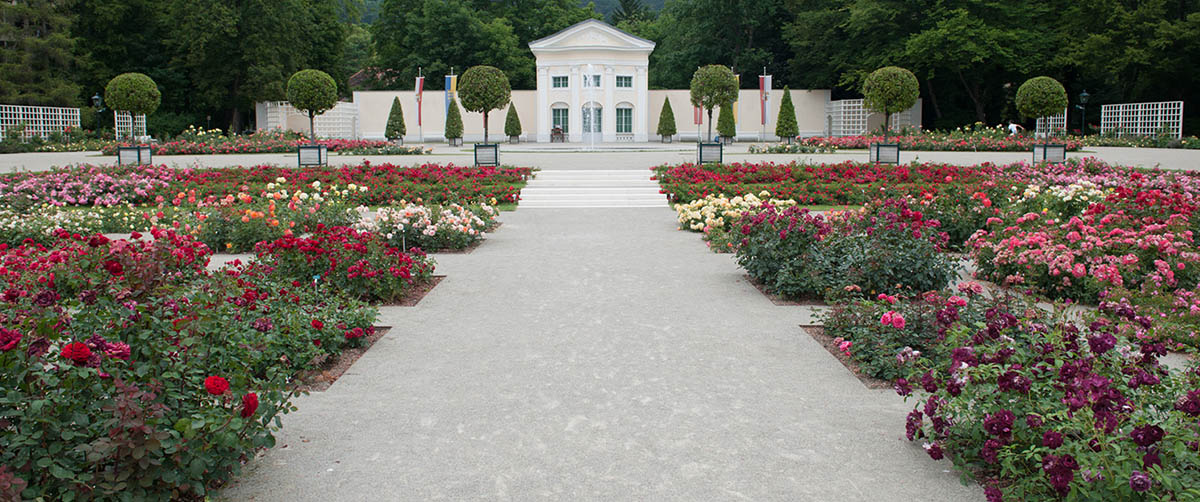 gruenplan-HP-Projekte-RosariumBaden6